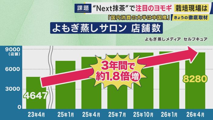 よもぎ蒸しサロンも人気