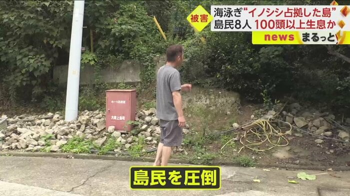画面右奥、石垣がイノシシによって崩されてしまったのだという