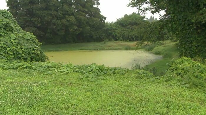 堤防近くにある「カラケ沼」