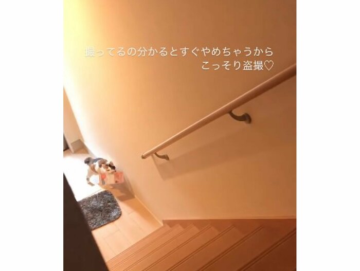提供:kiyokoさん