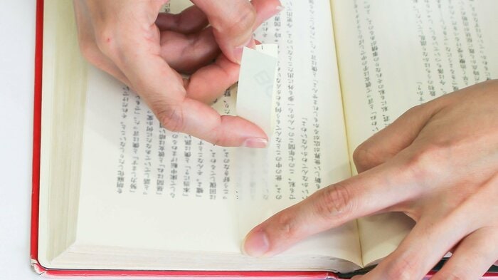 ページヘルパーの使用イメージ(提供:規文堂)