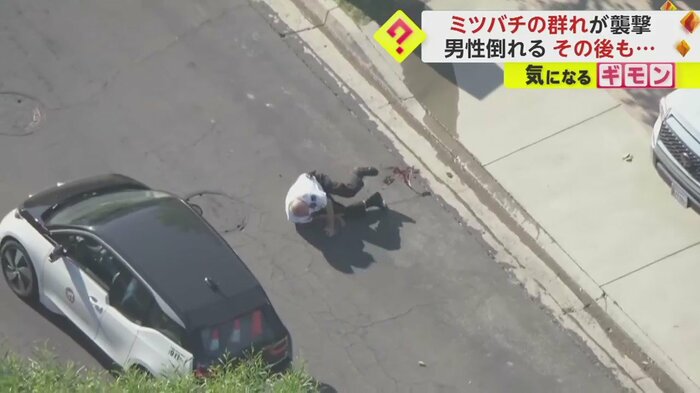 ミツバチの群れに襲われ尻もちをつく男性(KTTV FOX 11 NEWS)