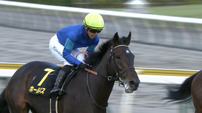 10月新潟牝馬Sを制したホールネス