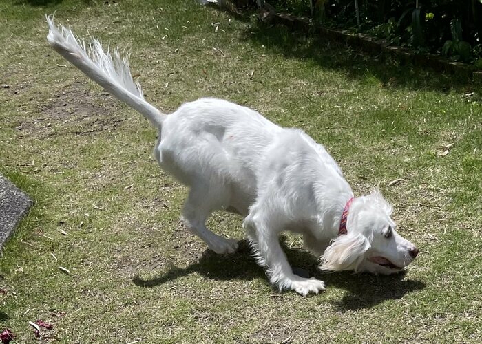 投稿の写真