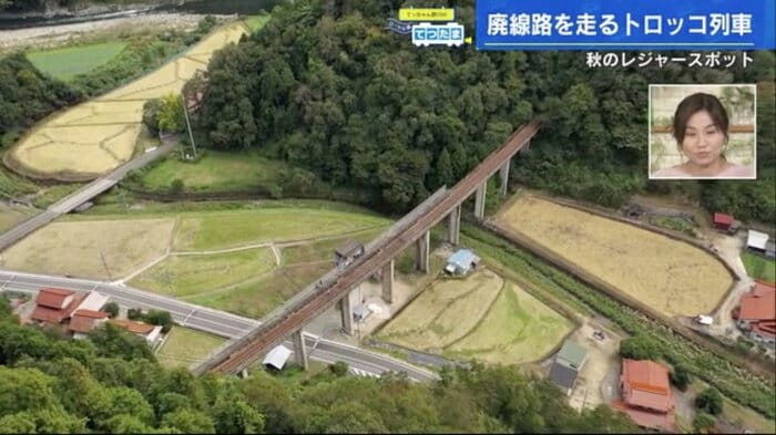 上空から見た宇都井駅。両端を山で挟まれた高架上にある
