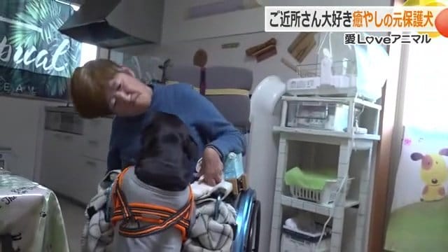 来たよー！と駆け寄る