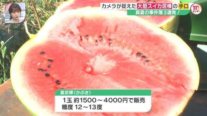 盗まれたのは高級スイカ「夏武輝」