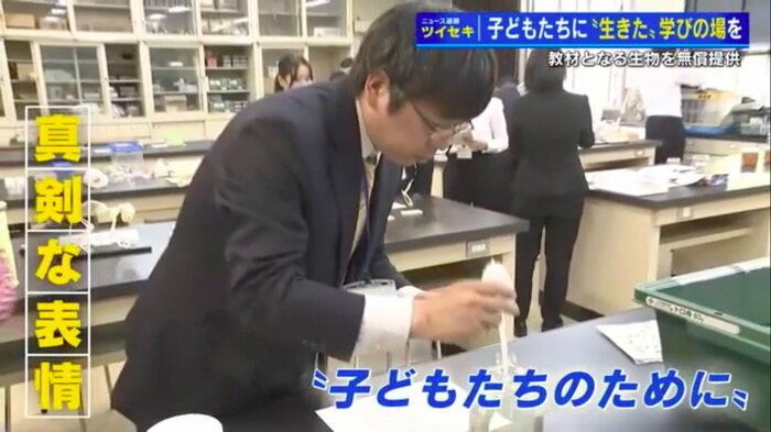 ボルボックスを吸い取って容器に移す中学校教師
