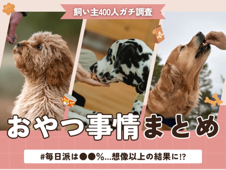 【飼い主400人に調査】約●割が愛犬に毎日おやつを与えている事実！与えすぎ注意…知らないと危険な“量バランス”とは？