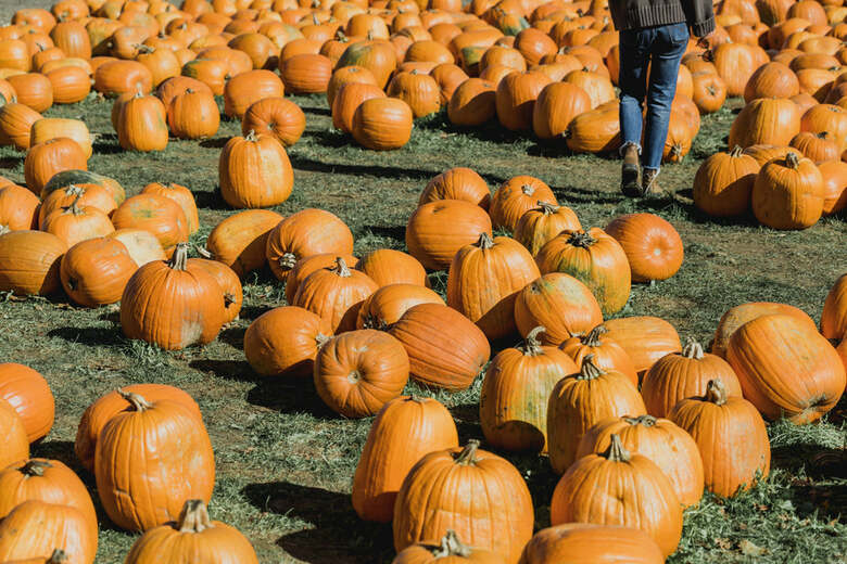 10月31日はハロウィン ハロウィンの過ごし方を調査!