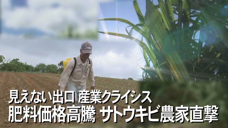 世界的な物価高の影響が直撃　これまでにない苦境に立たされている沖縄のサトウキビ農家【沖縄発】｜FNNプライムオンライン