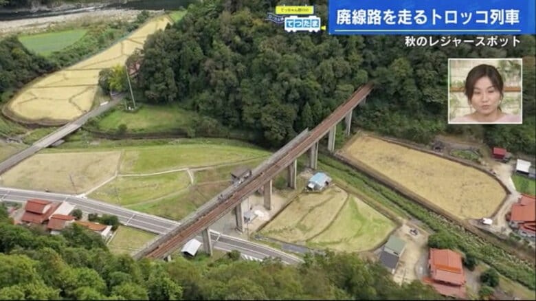 上空から見た宇都井駅。両端を山で挟まれた高架上にある