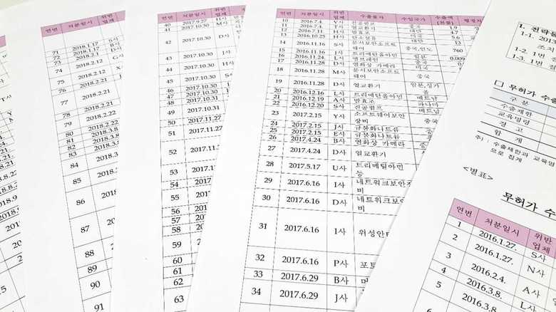 FNNが入手した韓国政府が作った不正輸出摘発リスト。戦略物資がズラリと並ぶ