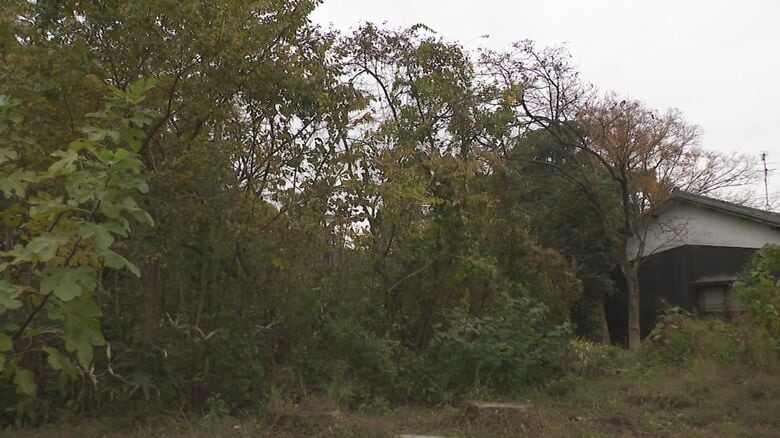 茂みから突然クマが…