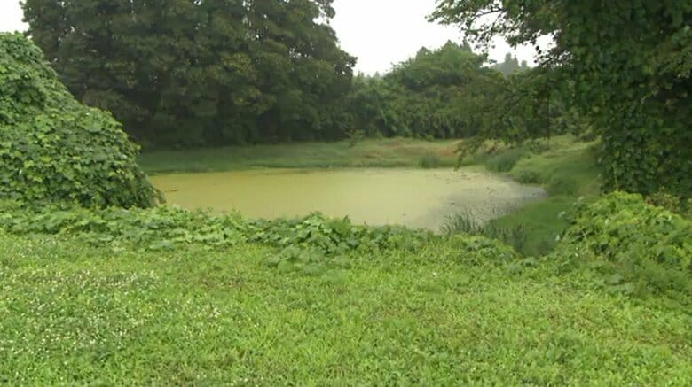 堤防近くにある「カラケ沼」