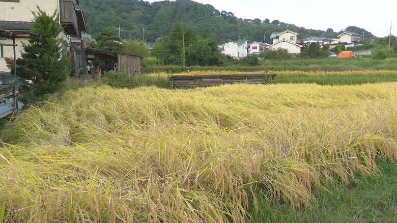 救助した現場