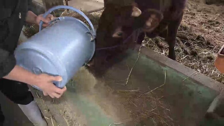 製造工程で出る酒かすをウシのえさに活用