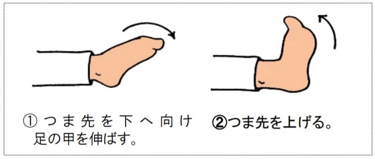下肢の運動（提供：日本静脈学会）