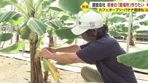 バナナ園の従業員