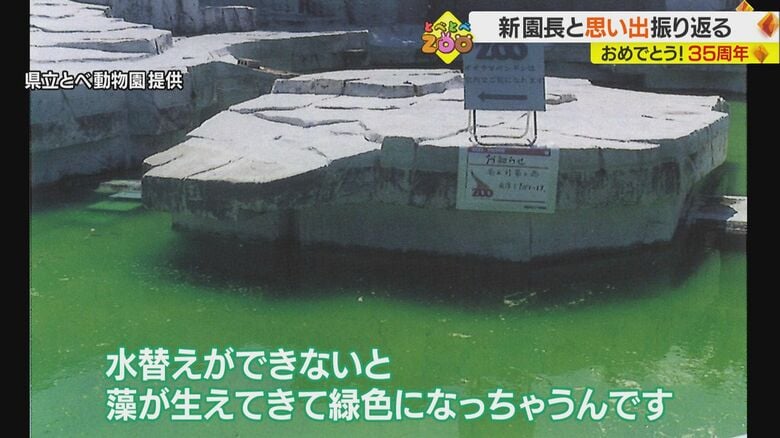 県立とべ動物園提供