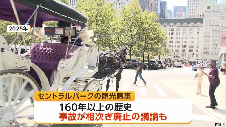 160年以上の歴史を持つセントラルパークの観光馬車