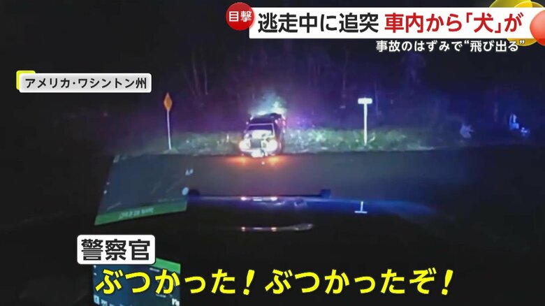 逃走車が衝突し車から犬が投げ出される瞬間（アメリカ・ワシントン州）⑤