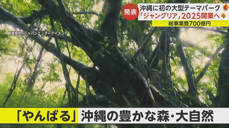 「やんばる」と呼ばれる沖縄の豊かな森・大自然を生かした大規模テーマパークに