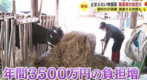 エサ代だけで前年比3500万円
