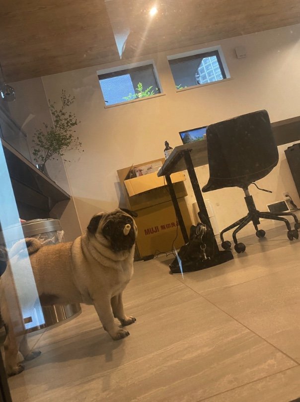 提供：よこむすびさん