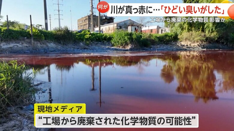 川の変色の原因は工場から廃棄された化学物質の可能性があるという