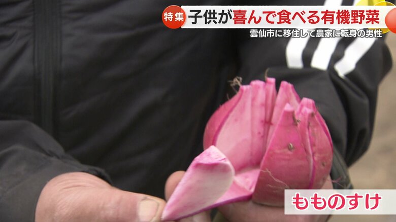 今日のおやつは「もものすけ」