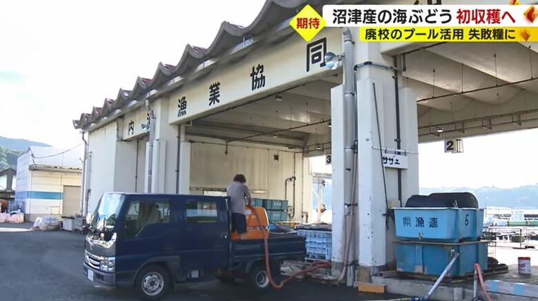 海水を運ぶ庄司さん