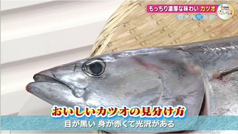 おいしいカツオの見分け方