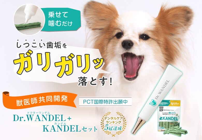 累計出荷本数18万本突破の犬用デンタルジェル「Dr.WANDEL(ドクターワンデル)」が、日本マーケティングリサーチ機構の調査でNo.1を獲得!