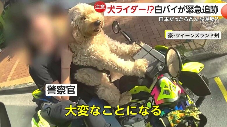 警察官が犬を乗せたバイクの運転手に注意をする様子⑤