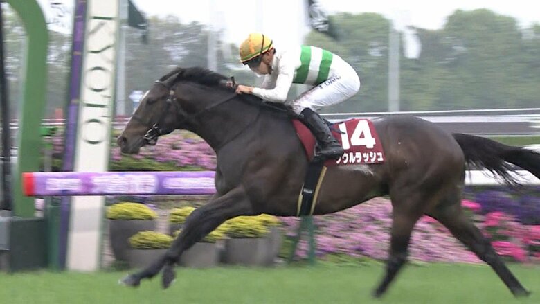 マイラーズCで重賞3勝目を挙げた ソウルラッシュ