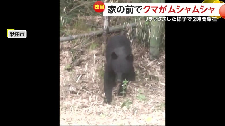 猟友会などの協力により追い払われたクマ