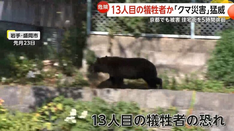 13人目の犠牲者の恐れがあるというクマ被害