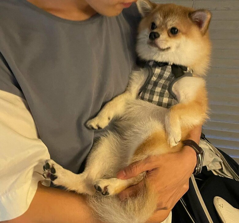 抱っこされると、赤ちゃんのように