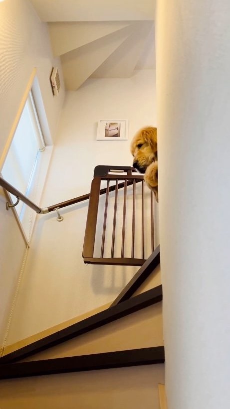 提供：efrinmanさん