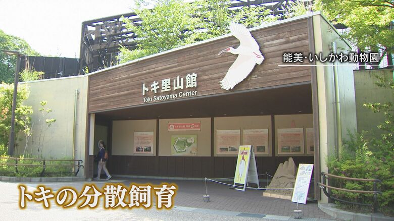 いしかわ動物園では分散飼育に取り組んでいる