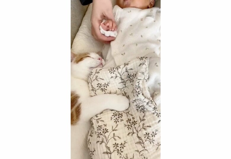 提供：こなつさん