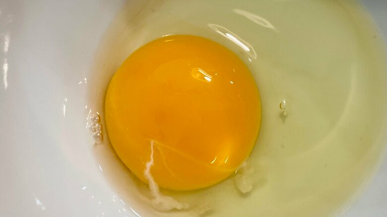 サイズが違っても黄身の大きさは一緒なのか？