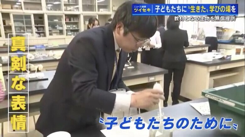 ボルボックスを吸い取って容器に移す中学校教師