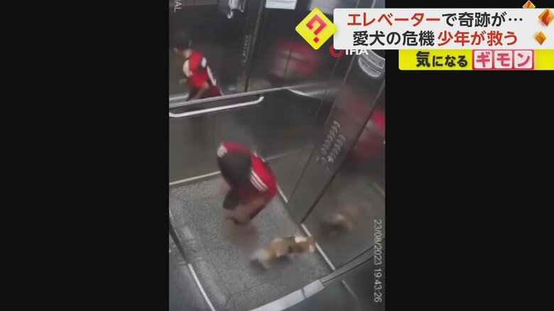 異変に気づき振り向く少年