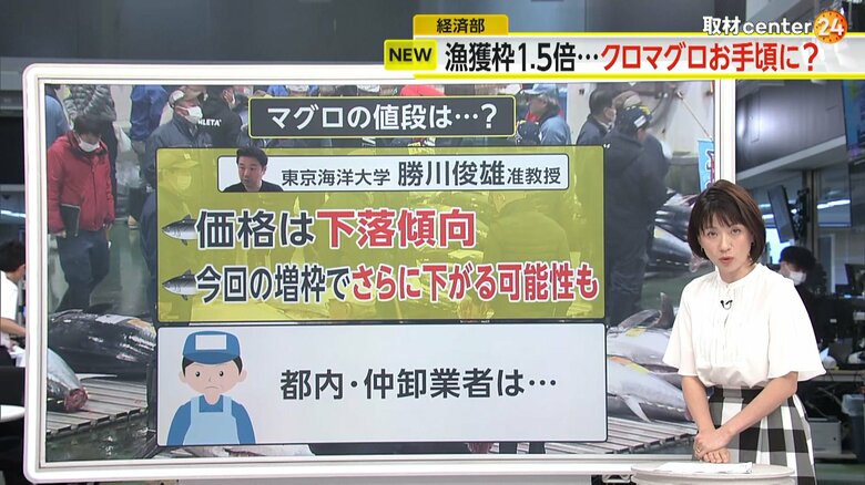 東京海洋大学・勝川准教授は下落傾向にあるマグロ価格がさらに下がる可能性があると指摘する