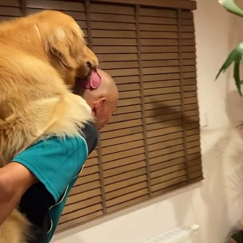 おんぶされている状態でもなめる