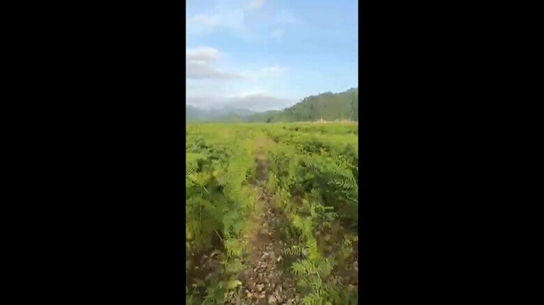 Farm On Sangkhla Buri