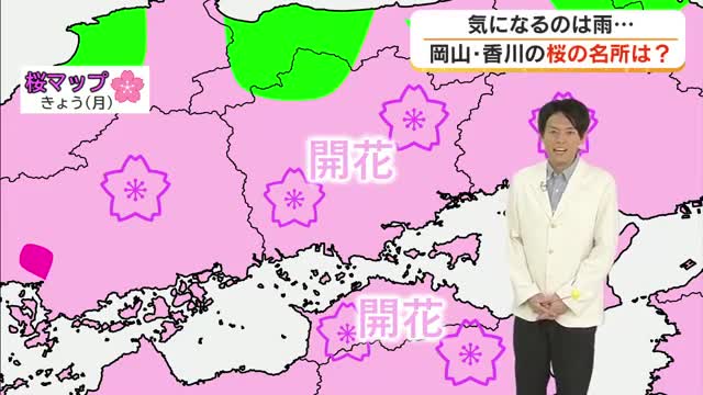 【桜の見頃はいつ？】気象予報士の光岡香洋さんが岡山・香川各地の今週の天気とあわせて解説
