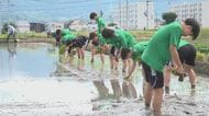 サッカーのホームスタジアムに近接　その名も「松本山雅田」でユース選手らが田植え　秋には稲刈りも　収穫したコメは選手の寮の食事に